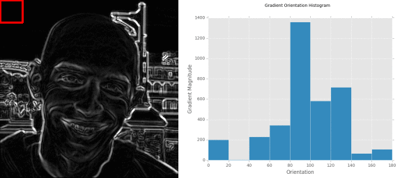 Figure 9: Computing a histogram of oriented gradients for each cell in the image.