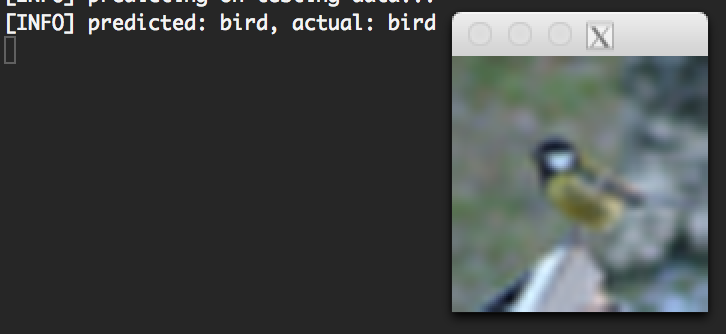 Figure 1: Classifying a "bird" using the MiniVGGNet architecture.