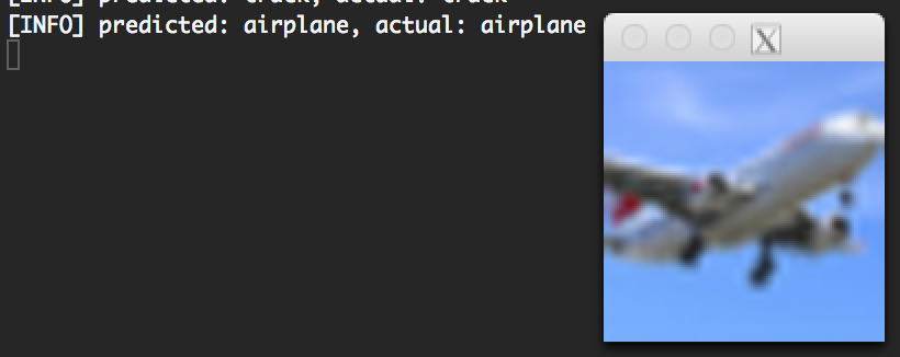 Figure 3: Labeling the image as "airplane".