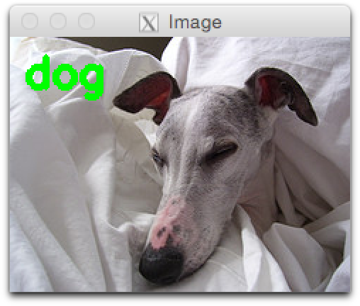 Figure 5: MiniVGGNet has learned to recognize images from the "dog" class.