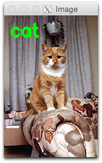 Figure 6: Recognizing a "cat" in an image.